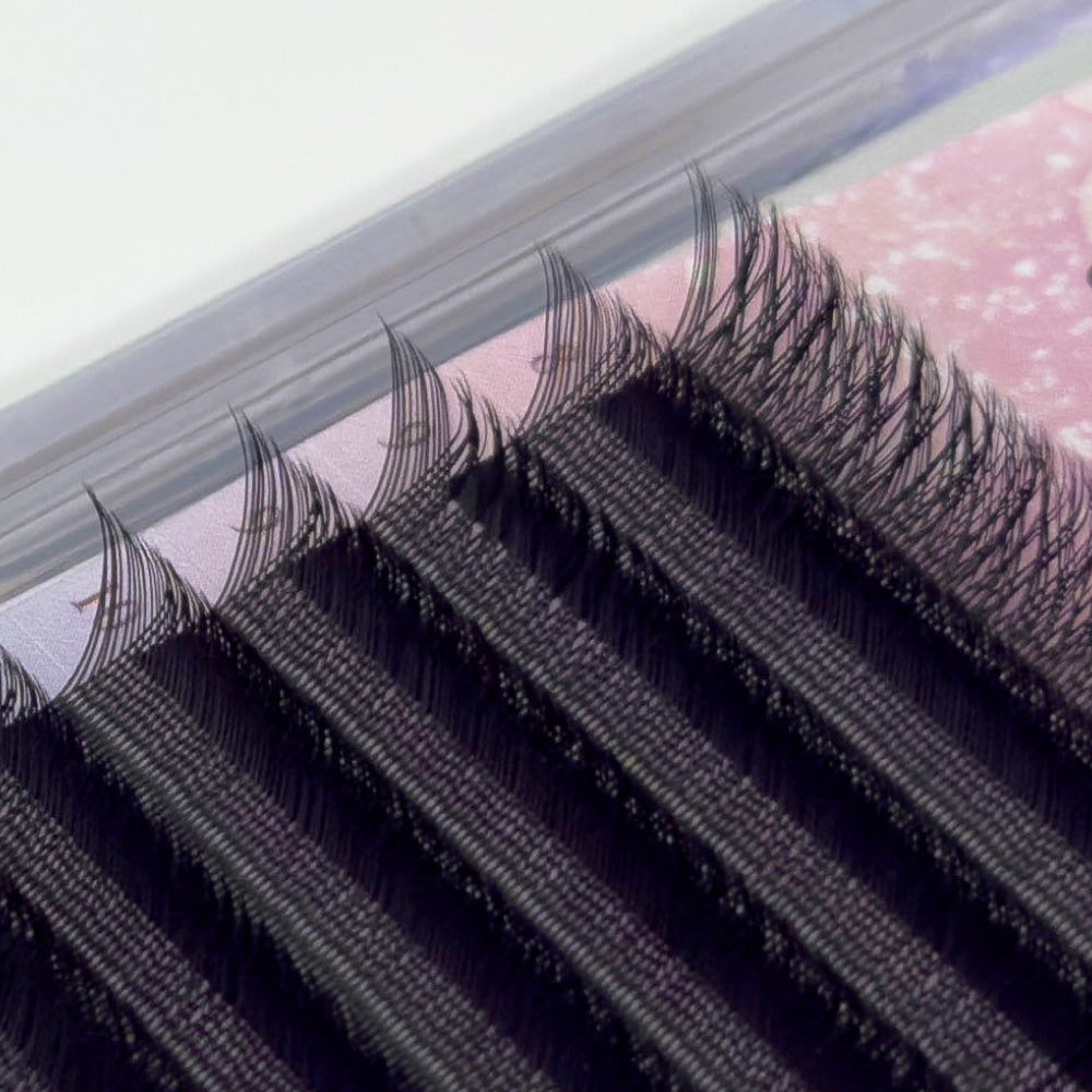 Enchanting Volume | YY Lashes