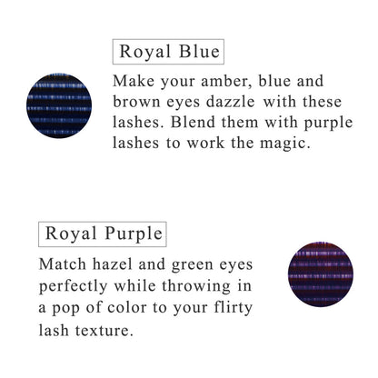 Color Lashes | Color